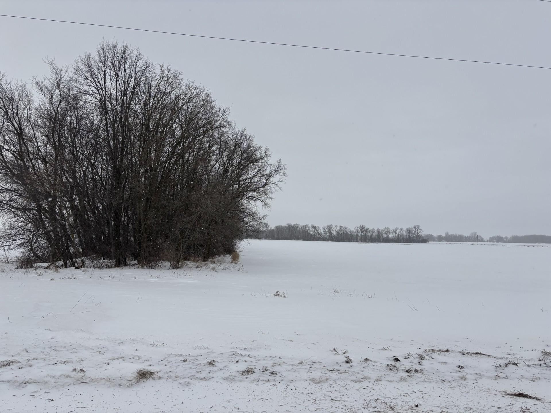 75 Co Highway 75 Hewitt, MN 56453 - Photo 6 of 22