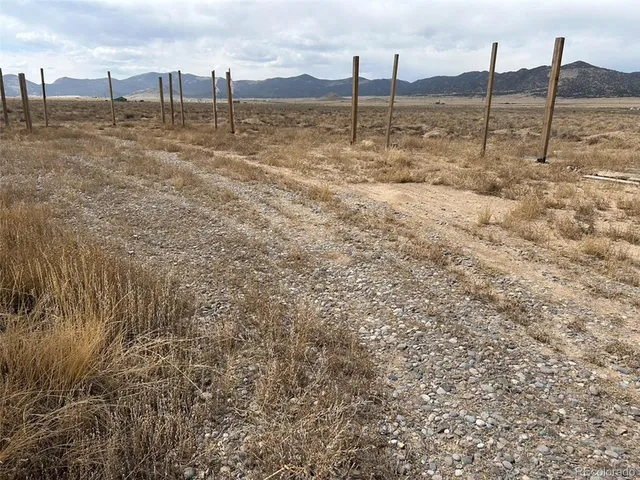 a view of a dry yard