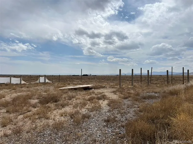 a view of a field with large trees