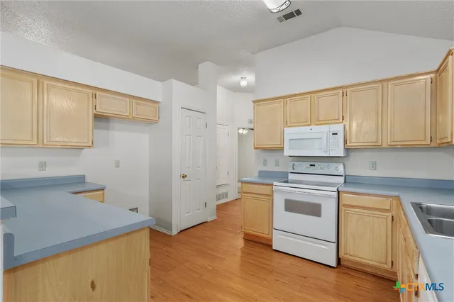 a kitchen with a sink a stove and refrigerator