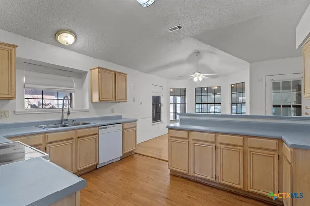 a large kitchen with a sink and cabinets