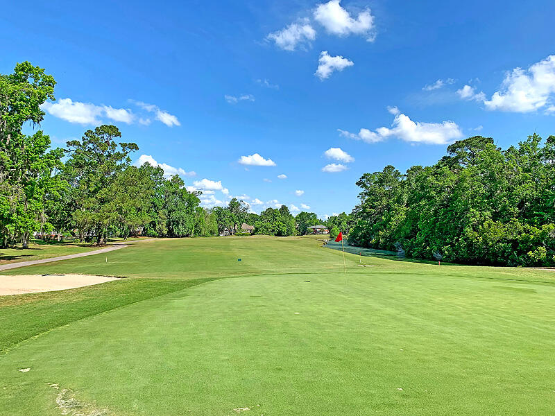 189 Droos Way Charleston, SC 29414 - Photo 41 of 42 IMG_0580-copy