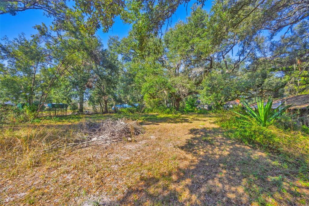 9580 McIntosh Road Dover, FL 33527 - Photo 11 of 15 a view of a yard with plants and trees