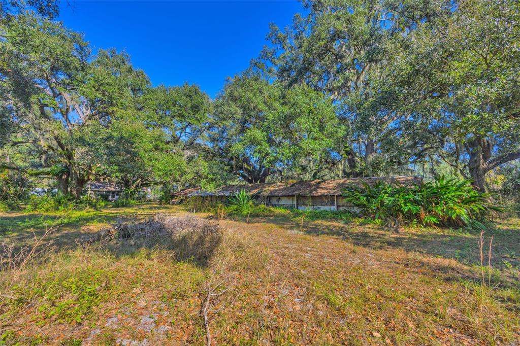 9580 McIntosh Road Dover, FL 33527 - Photo 12 of 15 a view of a yard with plants and large trees