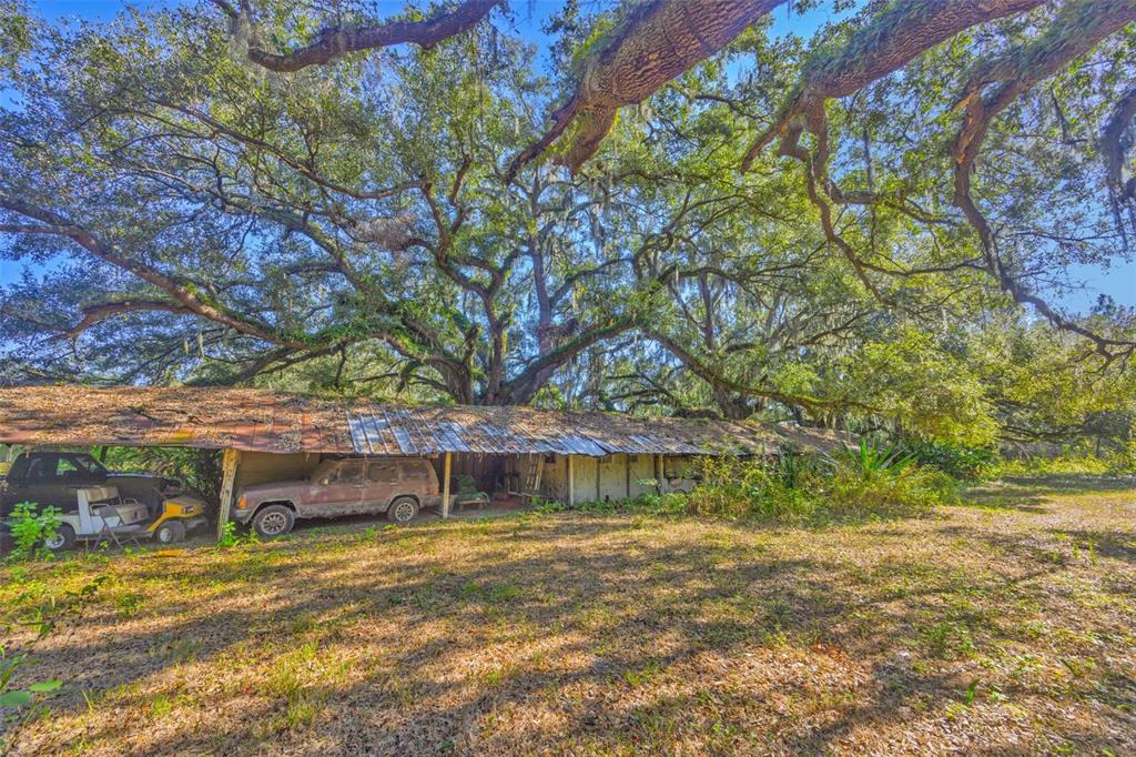 9580 McIntosh Road Dover, FL 33527 - Photo 6 of 15 a view of a house with a yard