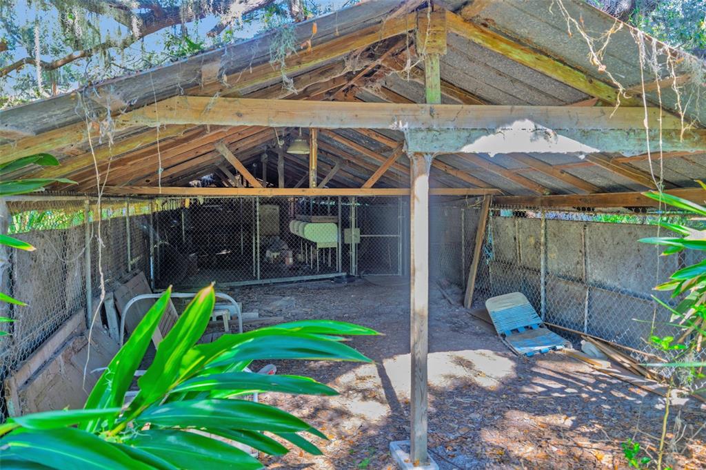 9580 McIntosh Road Dover, FL 33527 - Photo 9 of 15 a view of a backyard with plants and a patio