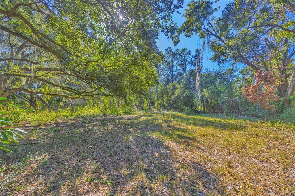 9580 McIntosh Road Dover, FL 33527 - Photo 10 of 15 a view of a yard with trees