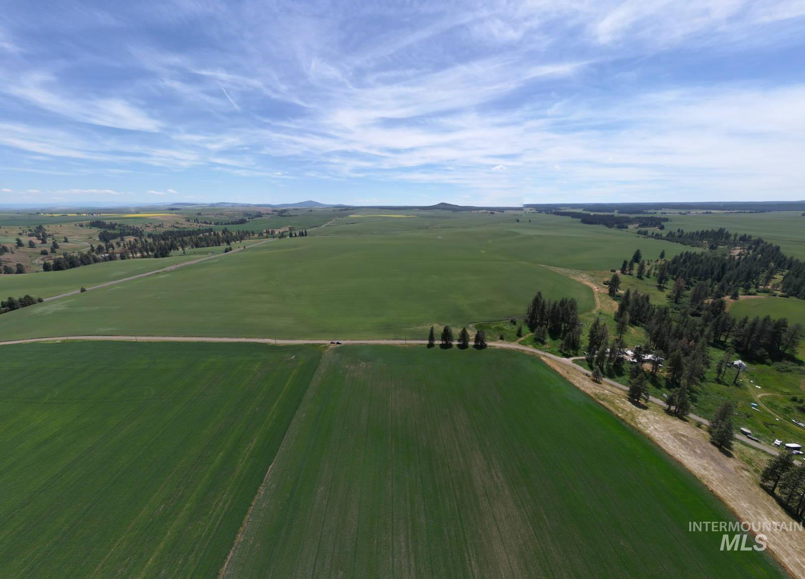Lot 2 Herrick Road Craigmont, ID 83523 - Photo 5 of 7