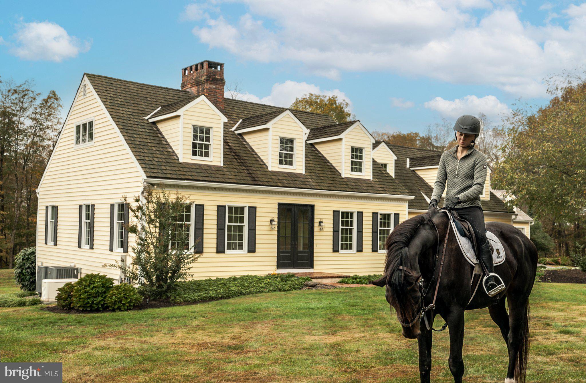 928 Swamp Road Furlong, PA 18925 - Photo 10 of 85 Charming equestrian retreat awaits.