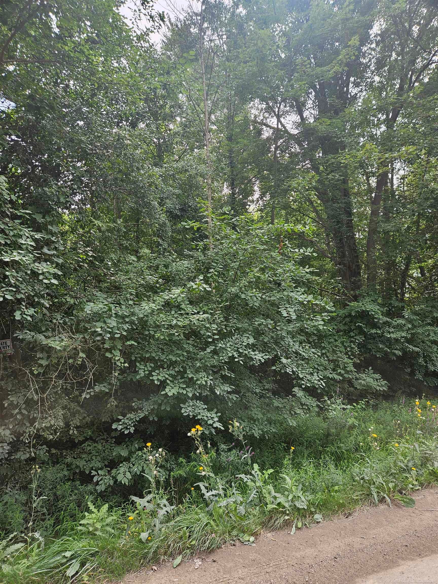 14080 31 Mile Road Washington, MI 48095 - Photo 3 of 6 Gallery Image 3