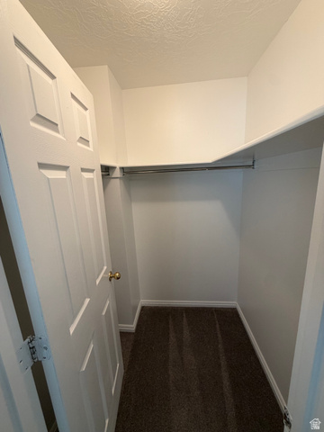 1563 South 600 East Springville, UT 84663 - Photo 16 of 30 Walk-in closet featuring white paneled door, gold-tone hardware, textured ceiling, light-colored walls, and dark carpeting