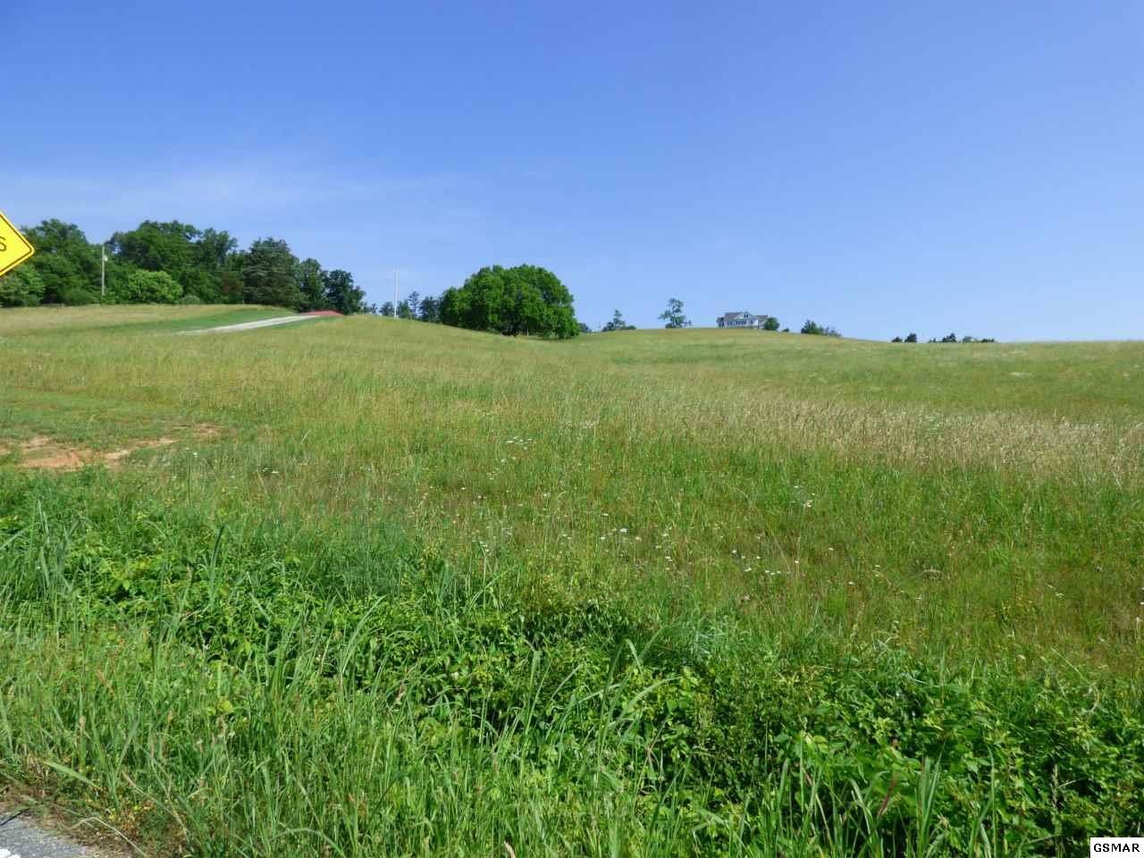 3 Owl Hole Gap Road Rutledge, TN 37861 - Photo 3 of 12 Gallery Image 3