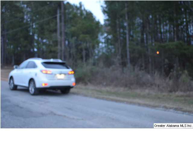 Covered Bridge Road Cleveland, AL 35049 - Photo 4 of 6