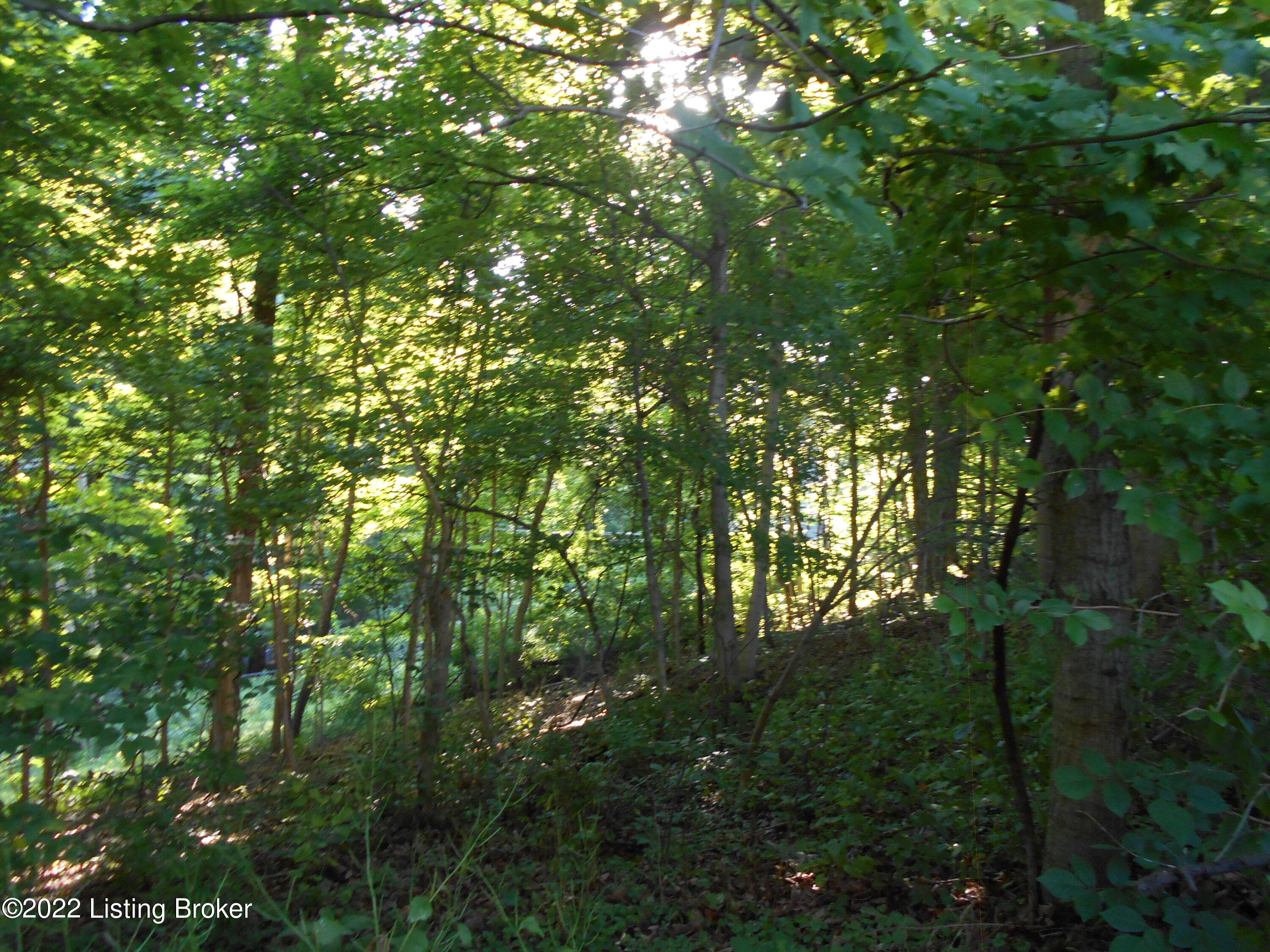 Lot 11 Rutland Road Goshen, KY 40026 - Photo 2 of 2 Lot 11 photo 2