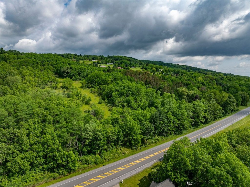 0 Esperanza Road Keuka Park, NY 14478 - Photo 10 of 17