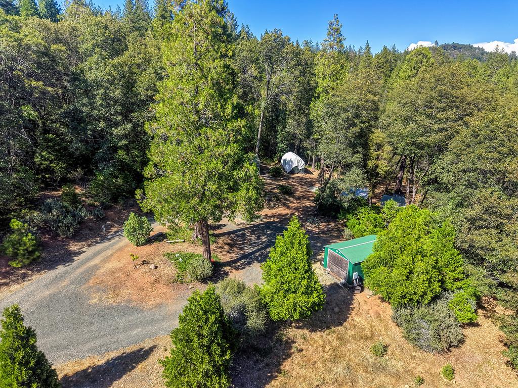 17008 Bloomfield Ridge Place Nevada City, CA 95959 - Photo 44 of 52