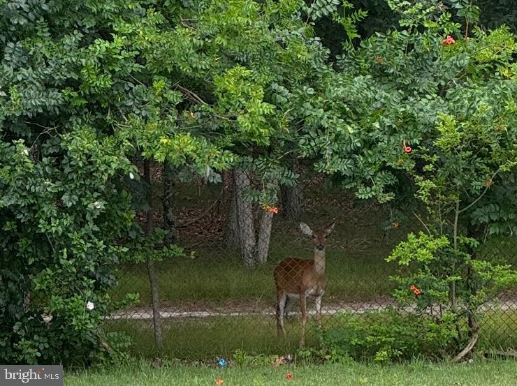 146 Country Club Road Pine Hill, NJ 08021 - Photo 28 of 28 a lake view