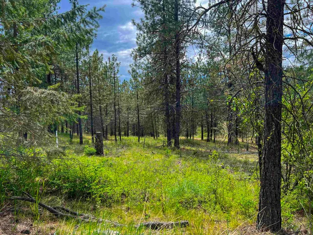 $650,000 | 2010 Clemons Road, Rice, WA 99167