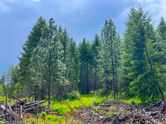 $650,000 | 2010 Clemons Road, Rice, WA 99167