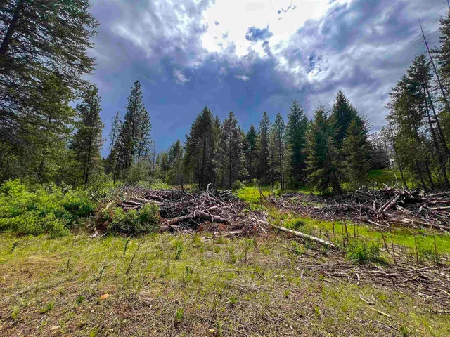 $650,000 | 2010 Clemons Road, Rice, WA 99167