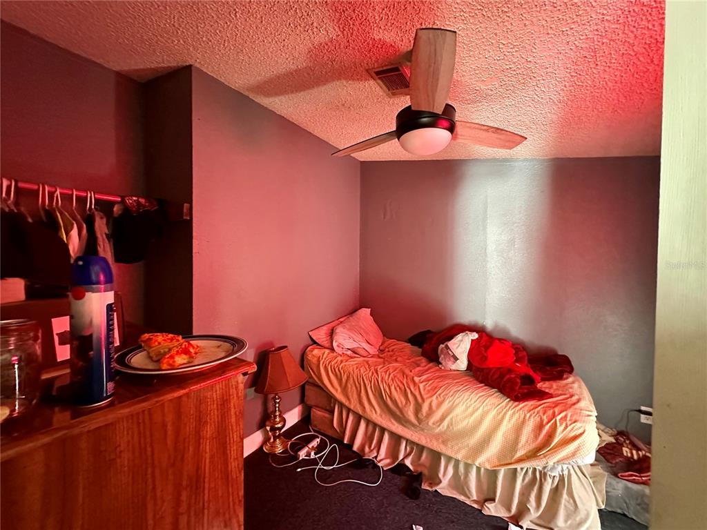 7536 Moffit Road Land O Lakes, FL 34638 - Photo 11 of 22