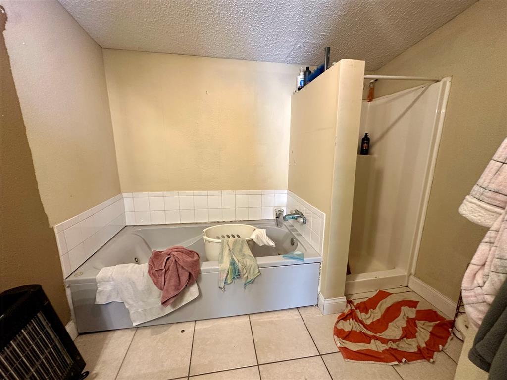 7536 Moffit Road Land O Lakes, FL 34638 - Photo 14 of 22