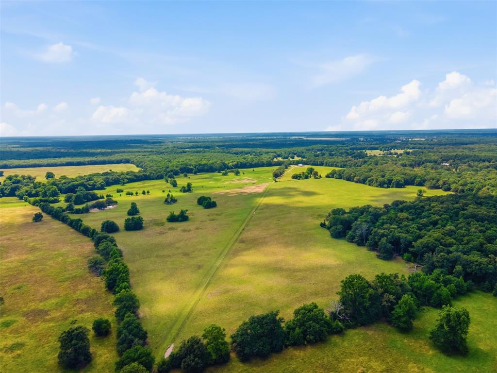 1663 County Road 1405 Bogata, TX 75417 - Photo 29 of 36