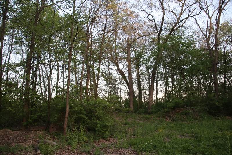 10.88 Acres M/l Sandy Beach Road Solon, IA 52333 - Photo 5 of 5 Gallery Image 5