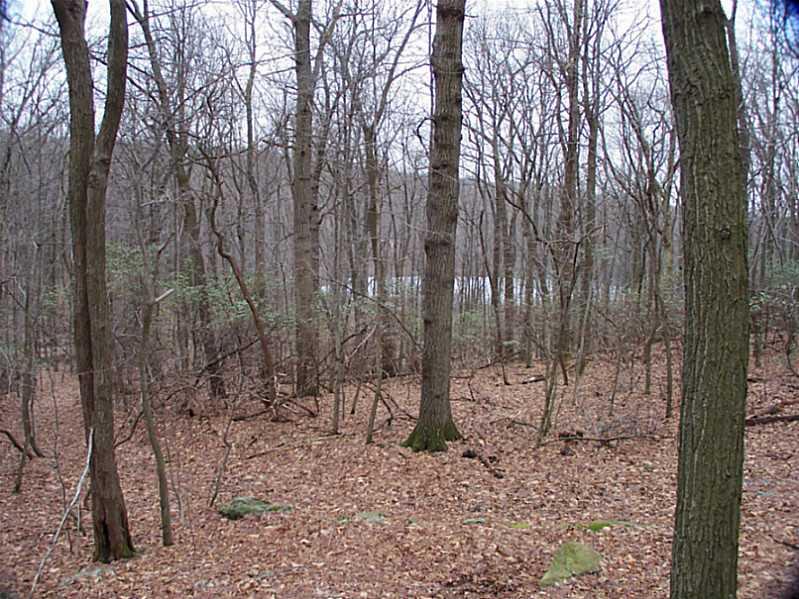139 East Lake Road Acme, PA 15610 - Photo 15 of 16 View.