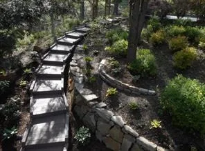 a view of a backyard with a large tree and a yard