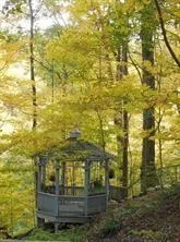 a view of a pathway of a garden