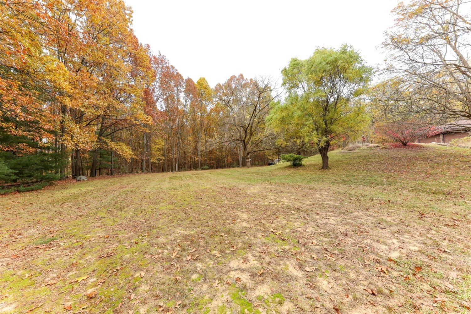 8156 Donovan Road Dexter, MI 48130 - Photo 41 of 63 Photo 41