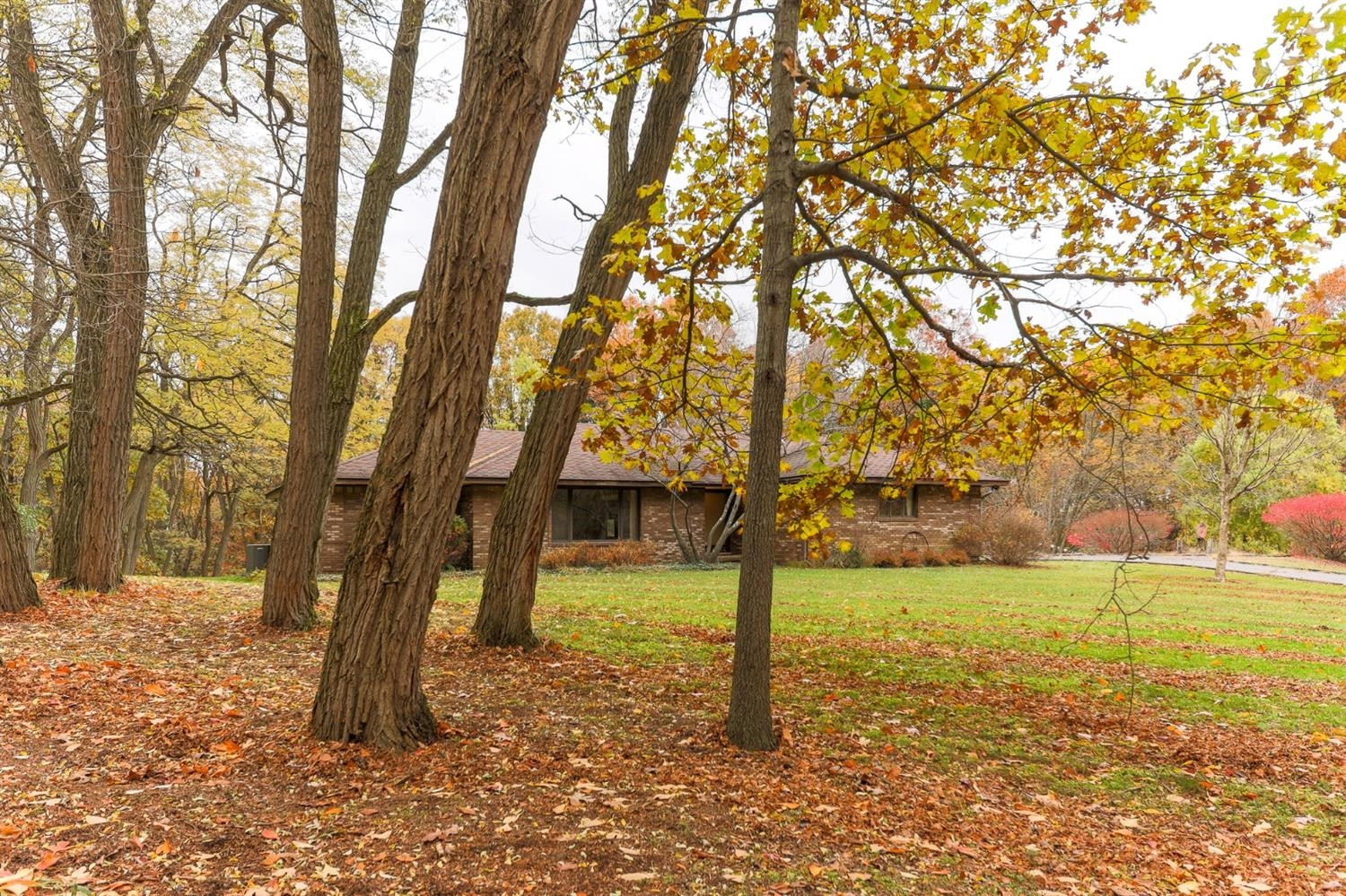 8156 Donovan Road Dexter, MI 48130 - Photo 52 of 63 Photo 52