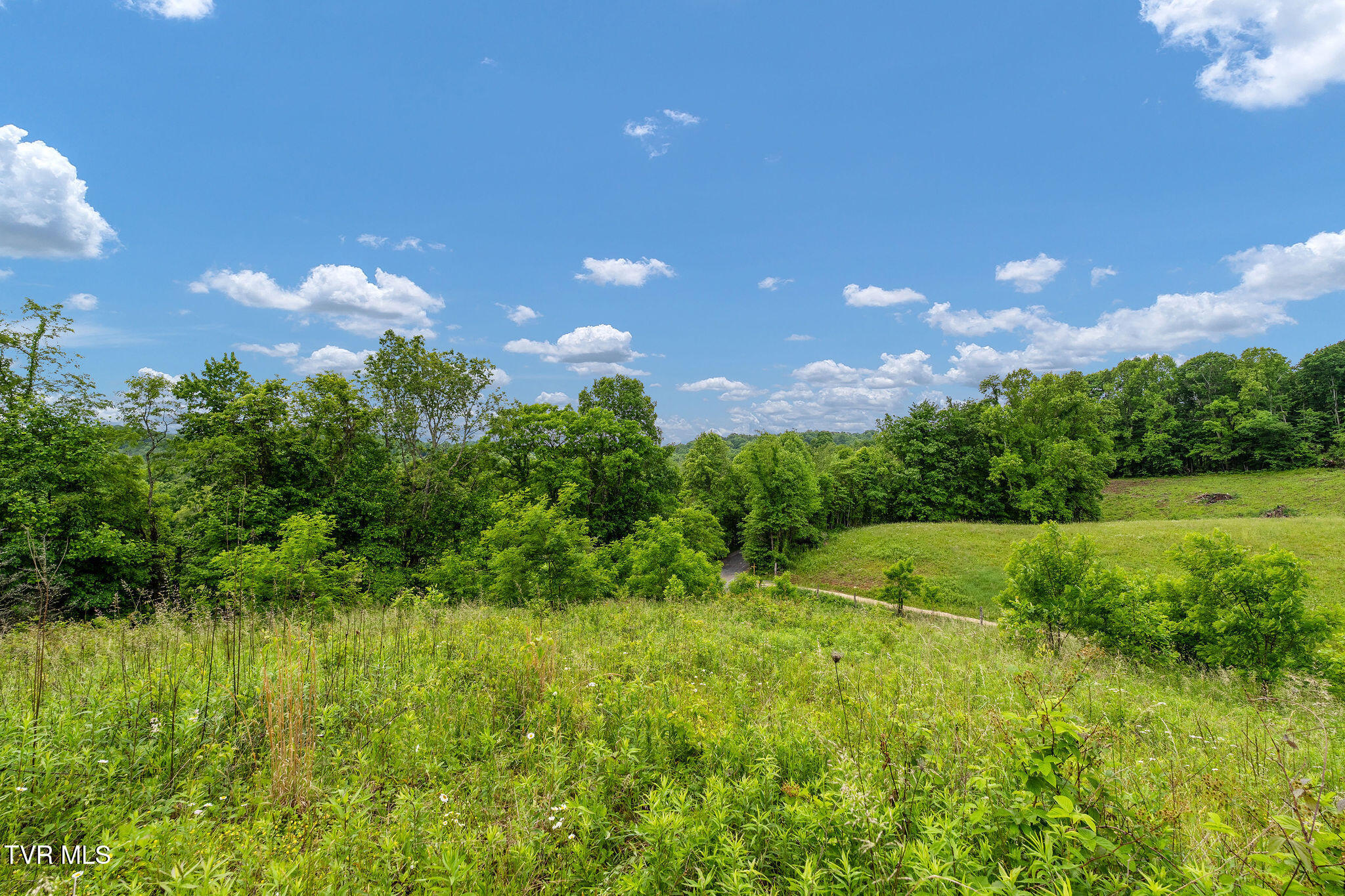 Tbd Walnut Mountain Road Butler, TN 37640 - Photo 19 of 36 DSC04456