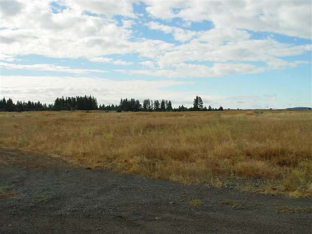 0 West Thorpe Road Reardan, WA 99029 - Photo 1 of 4