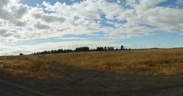 0 West Thorpe Road Reardan, WA 99029 - Photo 3 of 4