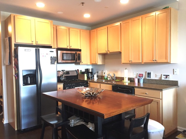 828 West Grace Street, Unit 711 Chicago, IL 60613 - Photo 5 of 17
