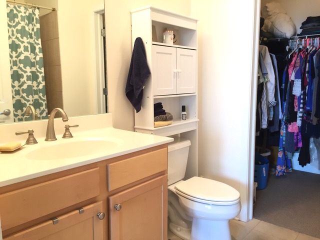 828 West Grace Street, Unit 711 Chicago, IL 60613 - Photo 9 of 17