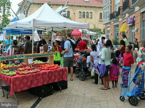 1105 Park Road Northwest, Unit 5 Washington, DC 20010 - Photo 30 of 30 Community