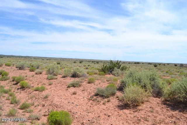 5083 Old Woodruff Road, Unit 558 Snowflake, AZ 85937 - Photo 8 of 13 20150702182832272476000000-o