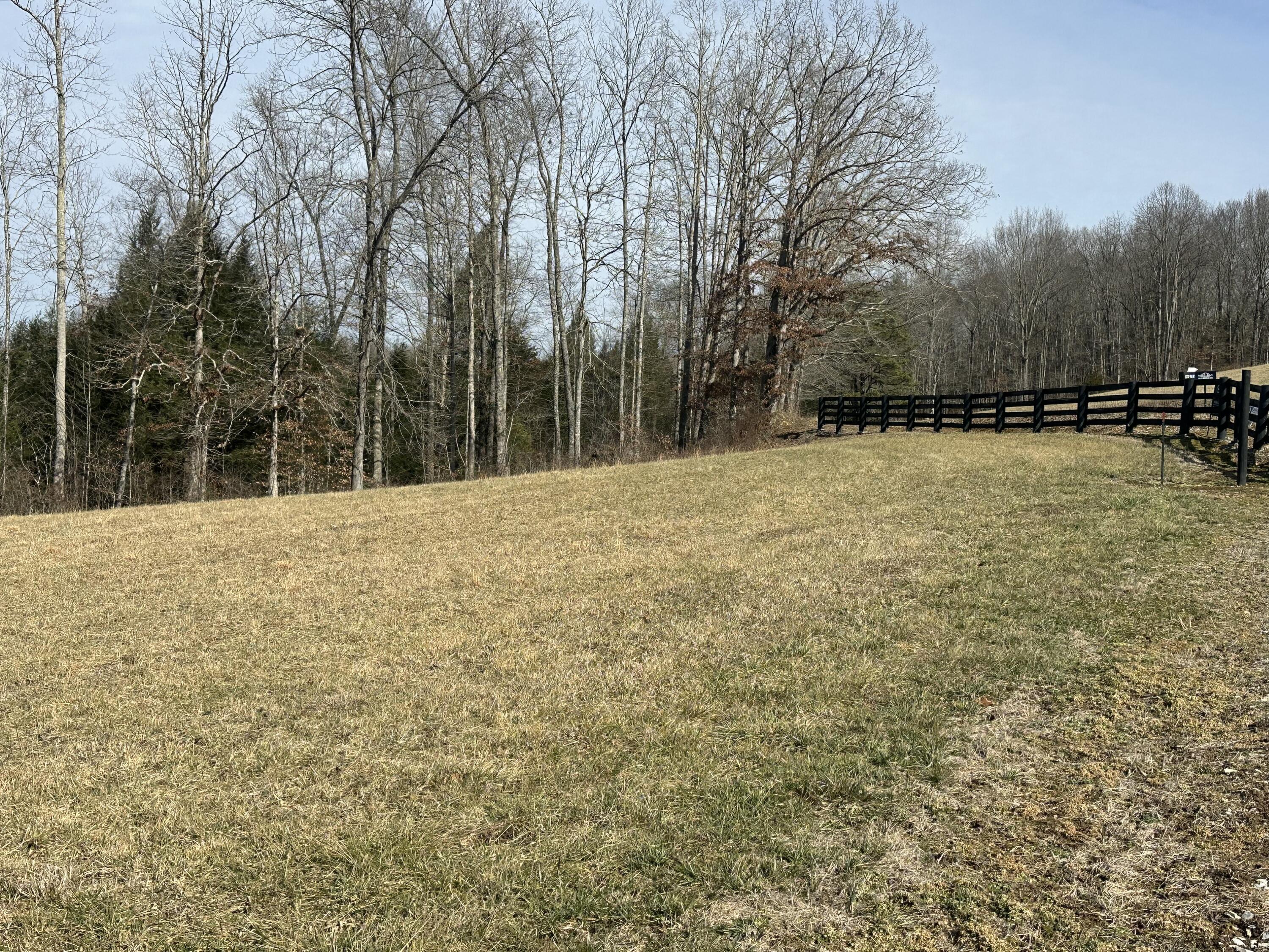 9 B Baldwin Road McKee, KY 40447 - Photo 5 of 17 BACKS UP TO SOME WOODS