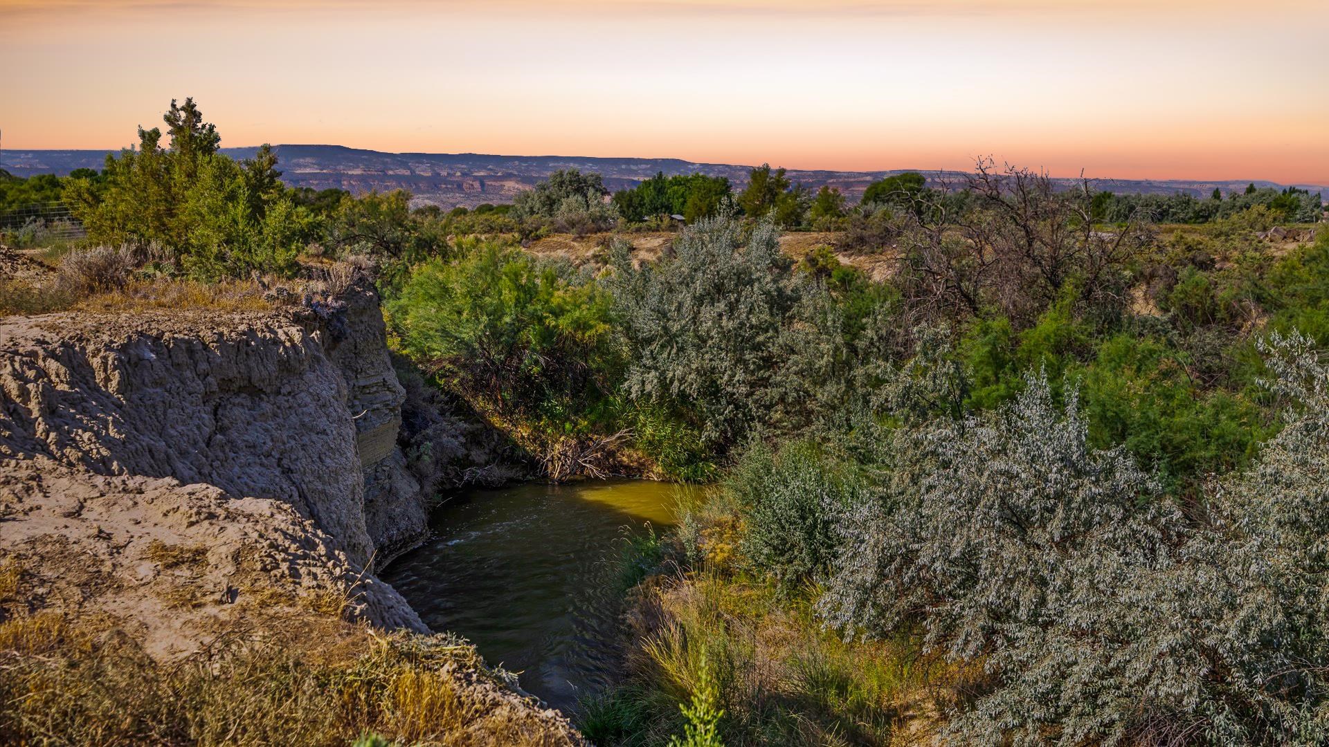 1730 Stremel Creek Fruita, CO 81521 - Photo 34 of 42 a view of a forest with a forest