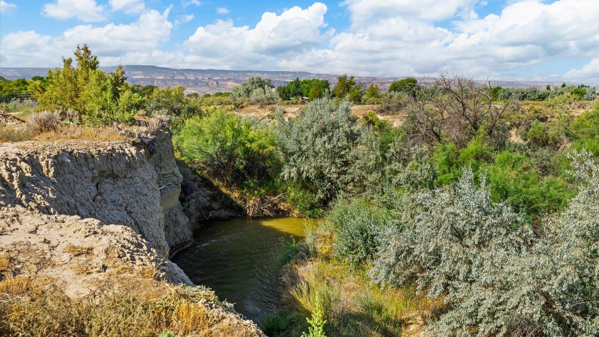 1730 Stremel Creek Fruita, CO 81521 - Photo 39 of 42 a view of a yard