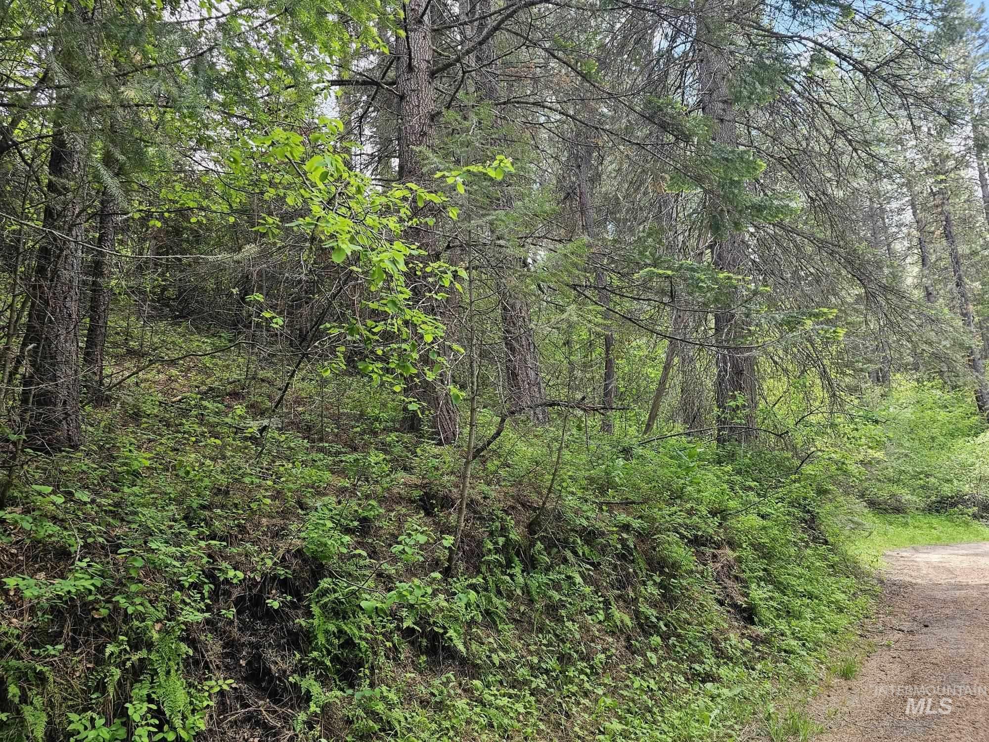 Lot 16-17 Caseys Road Garden Valley, ID 83622 - Photo 7 of 8