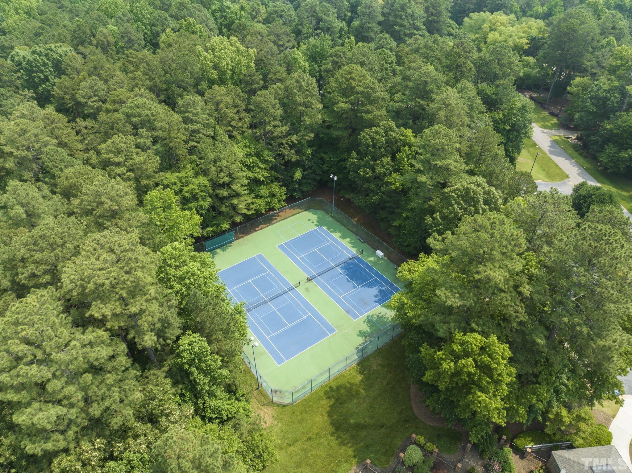 1113 Bentham Drive Raleigh, NC 27614 - Photo 65 of 78 a view of a yard with plants