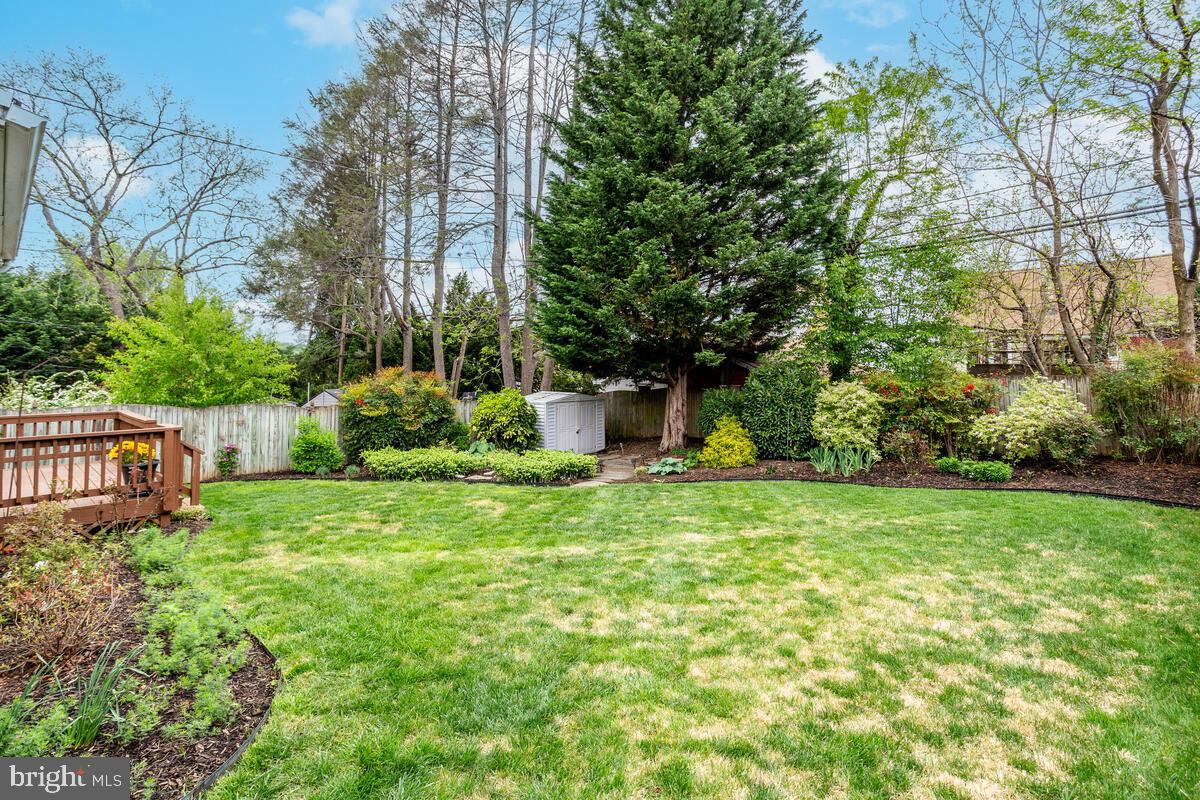 33 Dunmore Road Baltimore, MD 21228 - Photo 65 of 78 a backyard of a house with plants and large trees