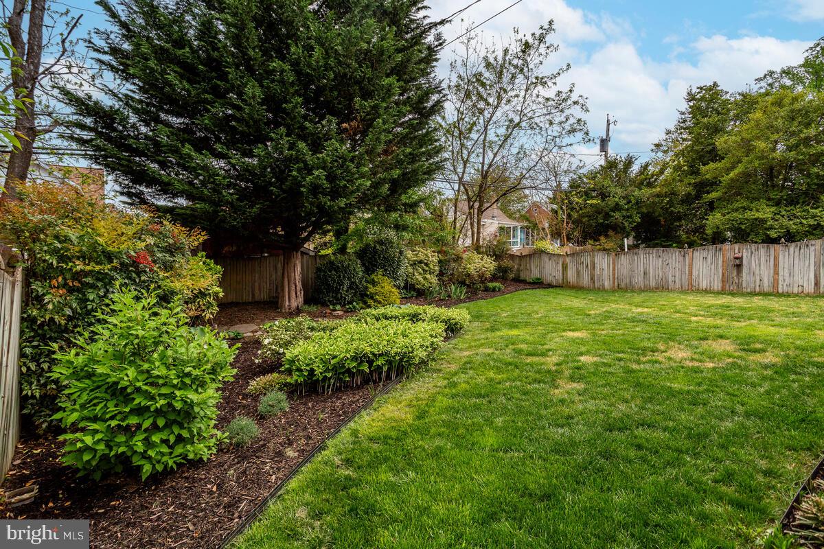 33 Dunmore Road Baltimore, MD 21228 - Photo 67 of 78 a view of a backyard with large trees