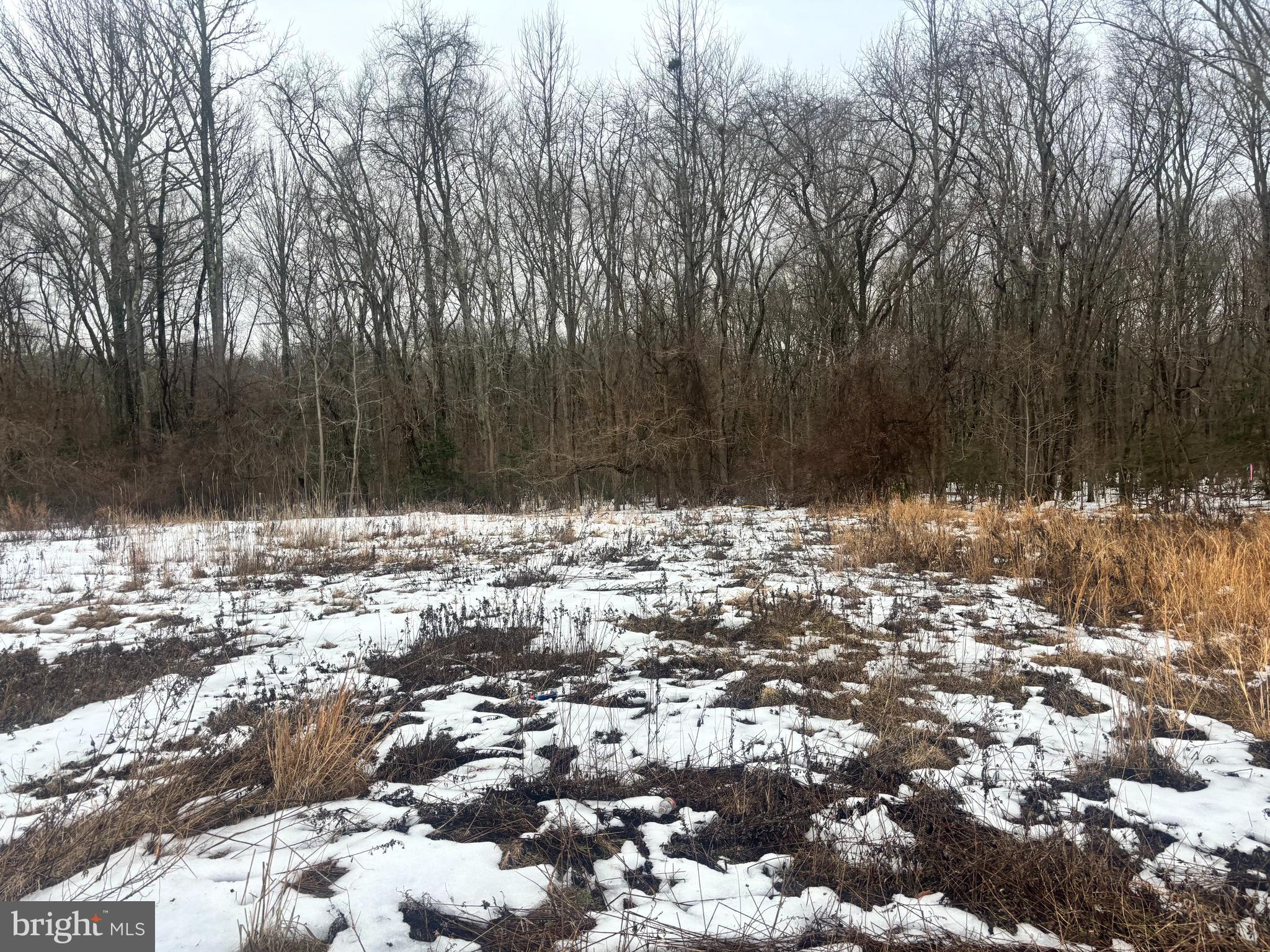 a view of water covered with snow
