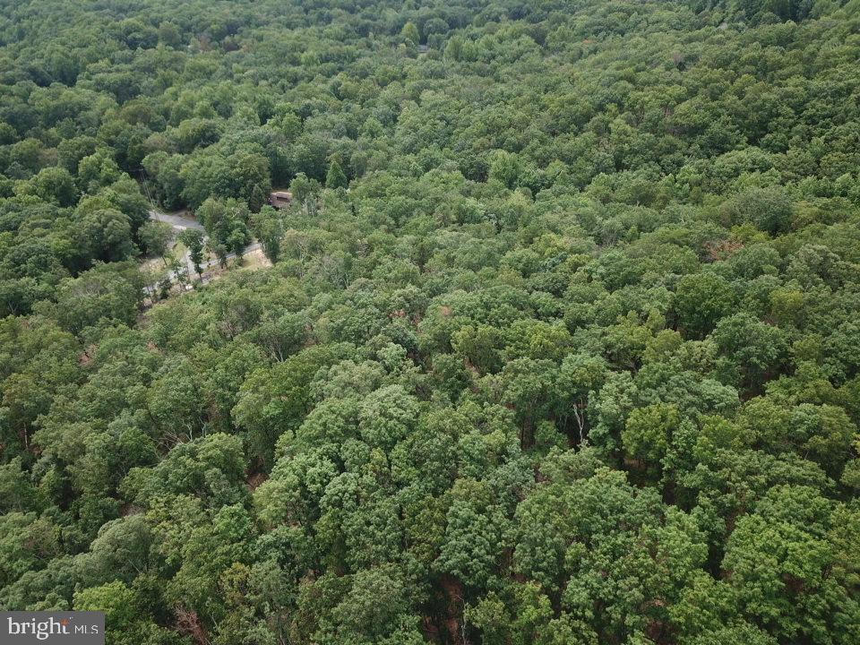1762 Mercer Road Haymarket, VA 20169 - Photo 12 of 12 Gallery Image 12
