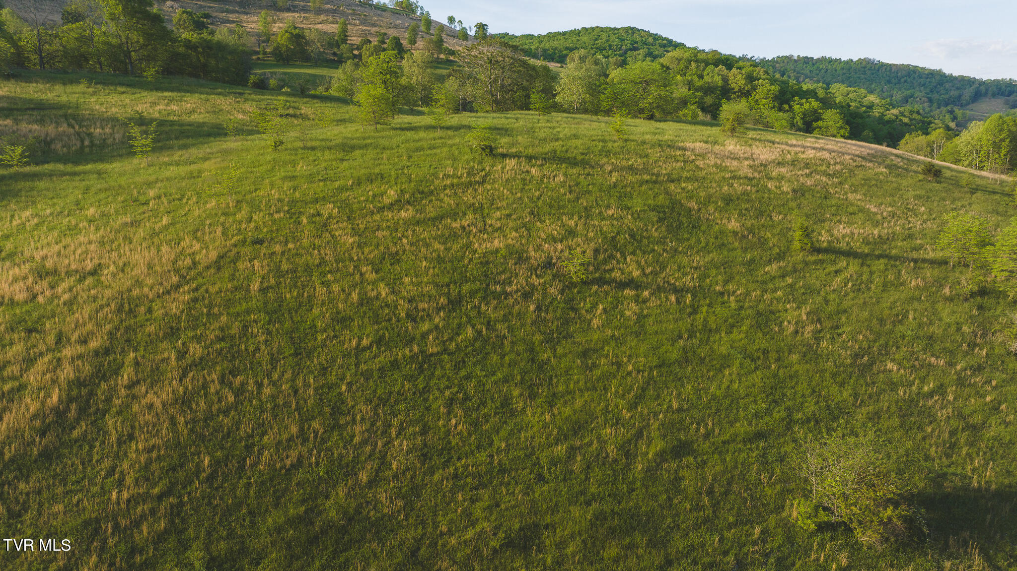 12 R Big Springs Road, Unit 12R Kyles Ford, TN 37765 - Photo 4 of 9 DJI_20240502185713_0976_D